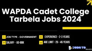 WAPDA Cadet College Tarbela Jobs